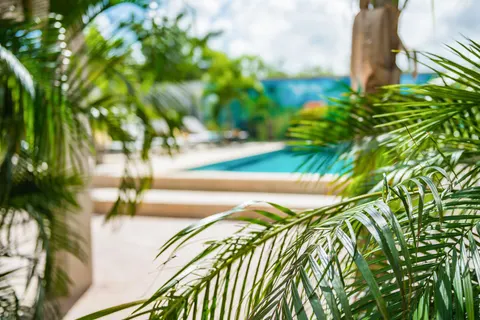 Fly & Go Casita Palma Boutique Resort foto 25