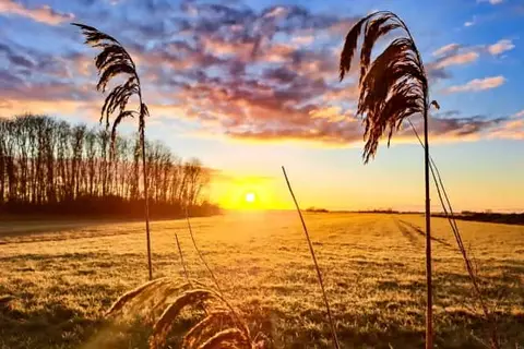 Herberg Het Rechthuis in Rinsumageast — foto 21