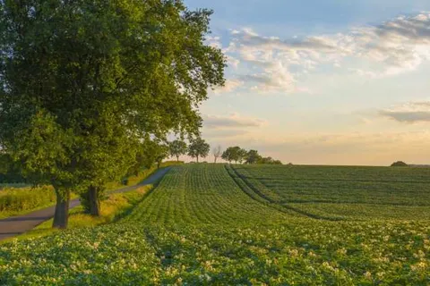 Boutique Hotel Omnia foto 26