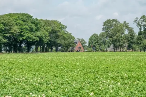 Het Heerengoedt in Ambt Delden, foto 6