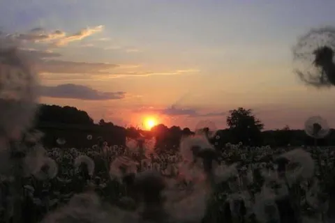 Bungalowpark Landsrade foto 22