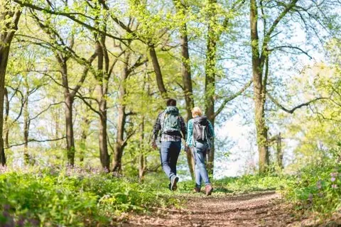 Hotel Becker foto 18