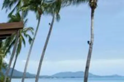 Mai Samui Beach Resort & Spa in บ้านทองโพธิ์ — foto 21