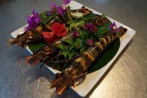 Lemon Creek Resort in Sukuta — foto 18