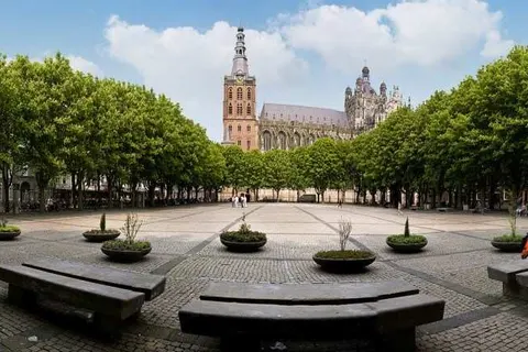 Luxexcellent foto 18