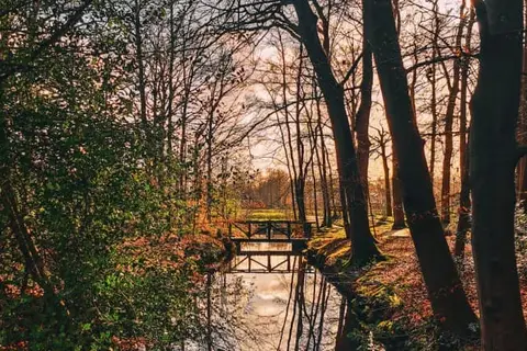 Herberg Het Rechthuis in Rinsumageast — foto 22
