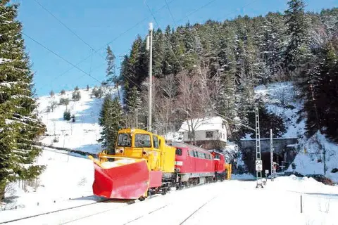 Kerst in het Zwarte Woud, Endingen foto 18