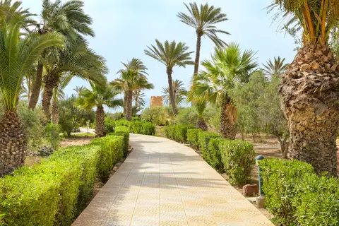Djerba Castille in أغير — foto 22