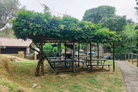 Caravelle Camping Village in Ceriale — foto 17