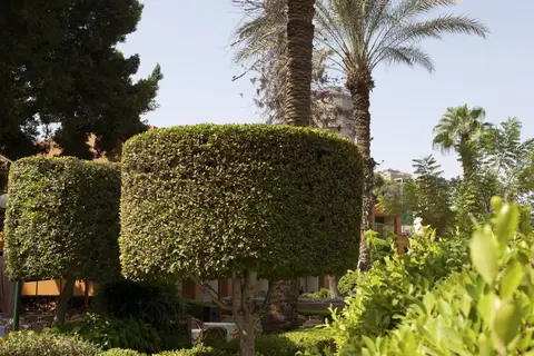 Cairo Marriott Hotel & Omar Khayyam Casino in Caïro — foto 25