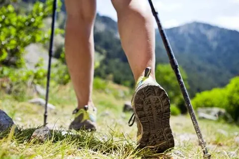 Hotel de Lindeboom foto 18