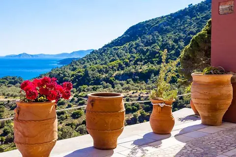 Eleonas Votsalakia in Δημοτική Ενότητα Μαραθοκάμπου — foto 22