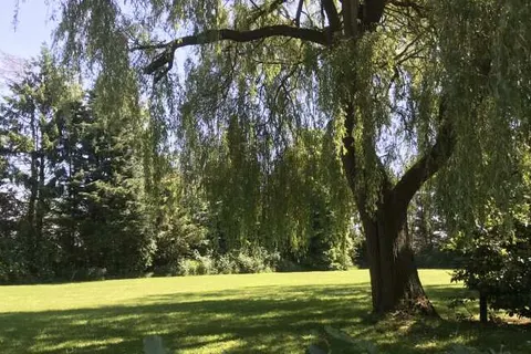 Boerderij De Wingerd foto 13