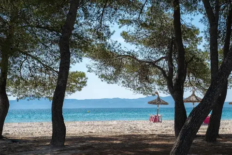 Lime Playa de Alcudia in Alcúdia — foto 6