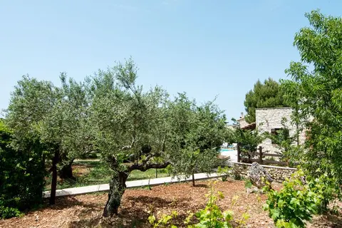 Boschetto Villas in Municipal Unit of Artemisia — foto 17
