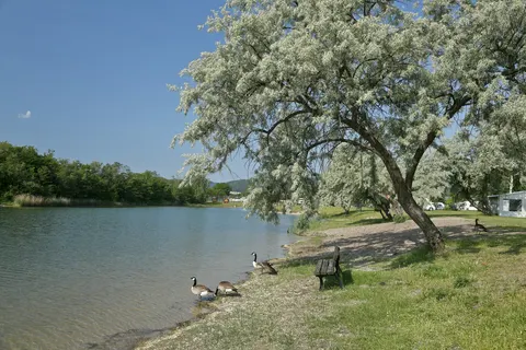 Knaus Campingpark Bad Dürkheim foto 12