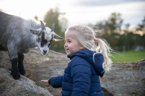 Vakantiepark Lalandia Rødby in Rødbyhavn — foto 11