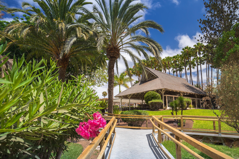 Hotel Barcelo Margaritas Royal Level - adults only foto 5