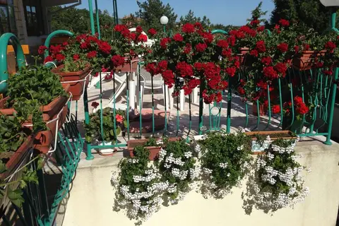 Hotel Zora in Несебър — foto 15