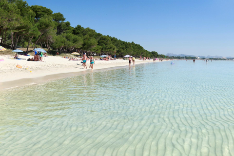 Hotel INNSiDE Alcudia foto 22