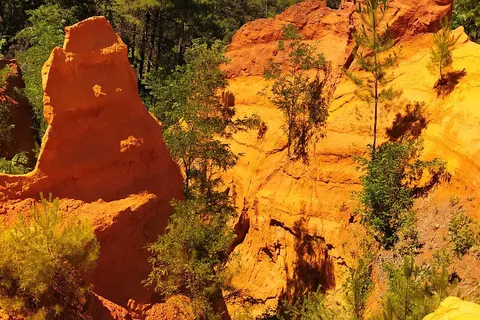 Camping La Riviere foto 6