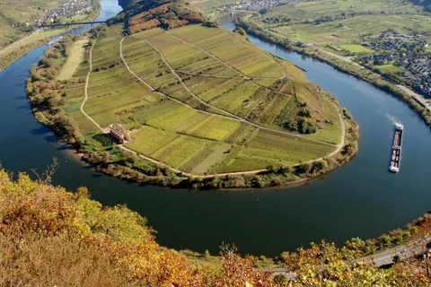 Hotel Garni Moselterrasse foto 23