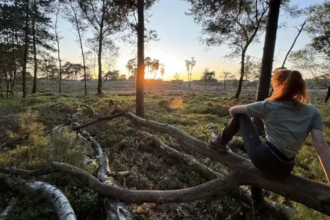 Witte Berken Natuurhotel in Epe — foto 60