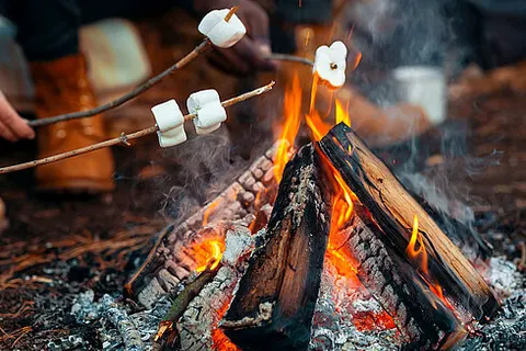 Prima Camping Resort Ostsee-boddenblick foto 9