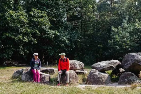 Villapark De Hondsrug foto 13