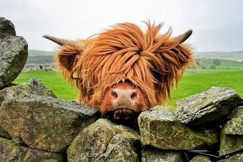 Highlands en Hebriden foto 2