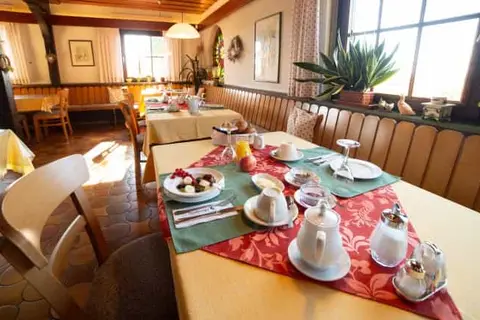 Hotel Landgasthof Ratz in Rheinau — foto 8