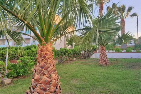 Saradari Beach Hotel in Chersonisos Municipal Unit, foto 13