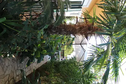 Villa Nefeli in Άγιος Γεώργιος — foto 5