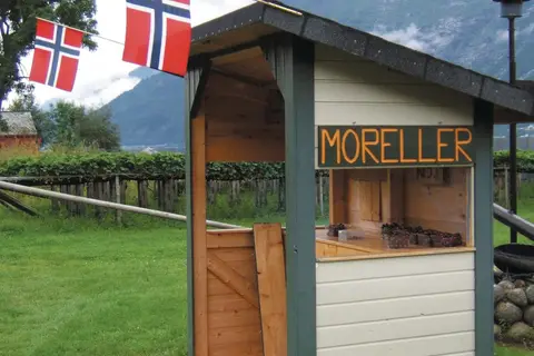 Fjorden, Gletsjers en Dalen in Noorwegen — foto 3