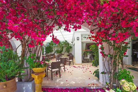 Kyparissia Beach Hotel in Kyparissia, foto 15
