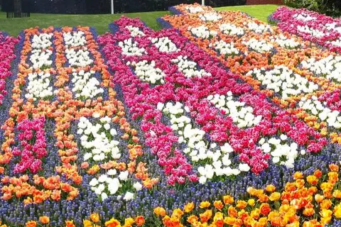 Hotel Hogerhuys foto 21