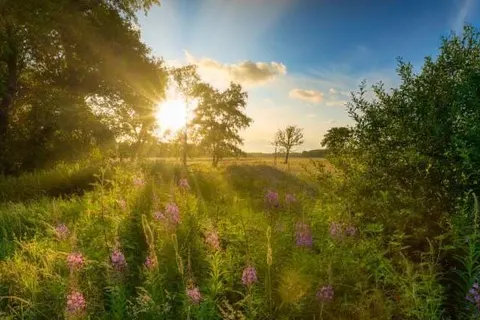 Fietsvakantie rondje Drenthe foto 4