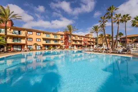 O7 Aloe Corralejo in La Oliva