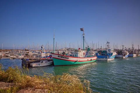 Camping Chardons Bleus De La Turballe foto 26