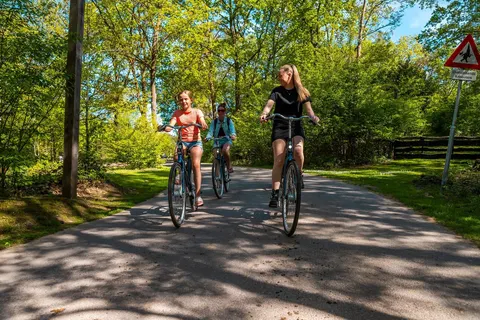 Vakantiepark De Wiltzangh foto 7