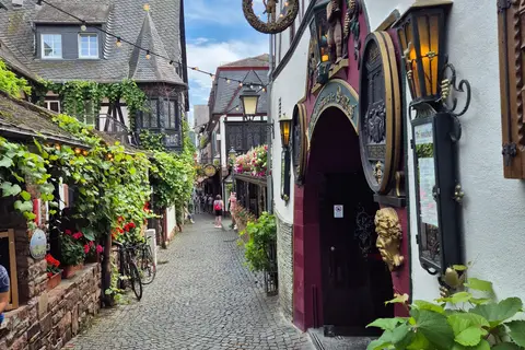Fietscruise Rijn en Moezel, Koblenz - Koblenz in Enkirch — foto 7
