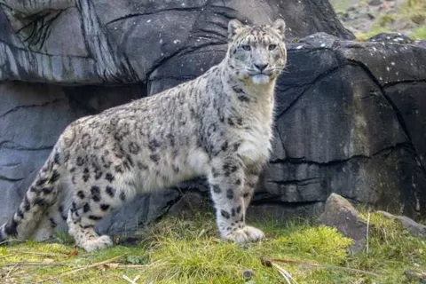 Hotel am Zoo foto 16