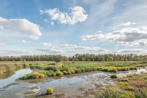 Stadshotel Geertruidenberg foto 24