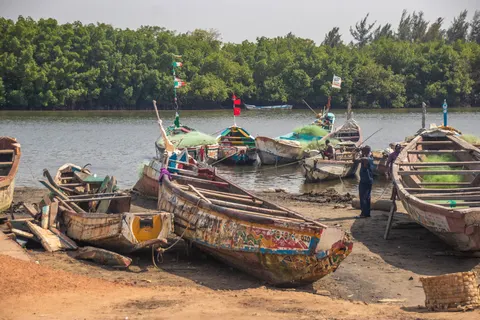 Rondreis Avontuurlijk Gambia & Senegal in Sneek — foto 12