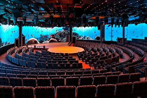 15 dg cruise Noord Europa Rotterdam foto 4