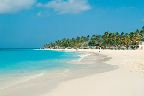 Hotel Divi Aruba All Inclusive foto 3