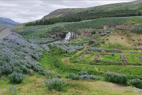 Faeröer Eilanden en IJsland foto 33