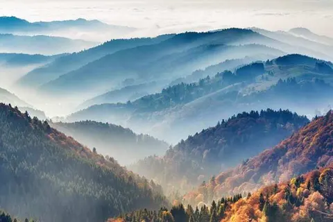 Landgasthof Freiämter Hof foto 14