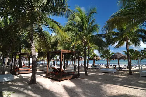 Grand Oasis Palm in Grand Oasis Palm — foto 3