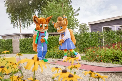 Recreatiepark De Boshoek foto 18